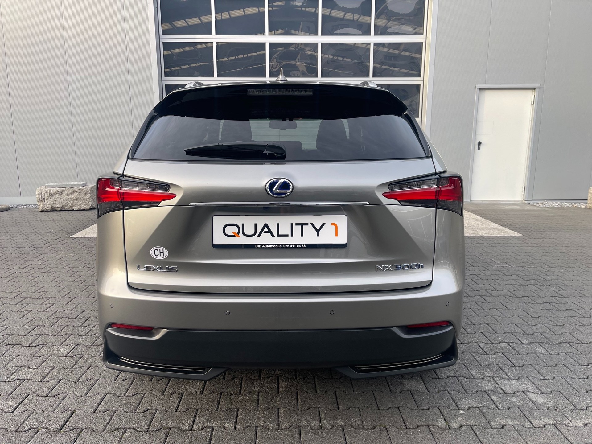 LEXUS NX 300h F-Sport E-Four Automatic-showroom-element-2