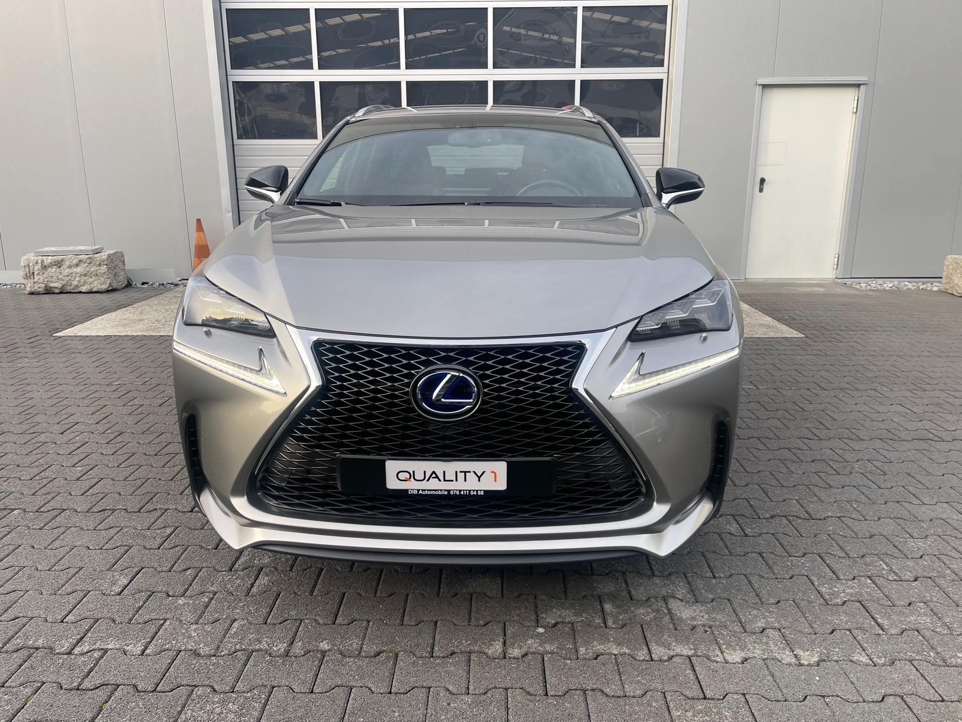 LEXUS NX 300h F-Sport E-Four Automatic-showroom-element-1