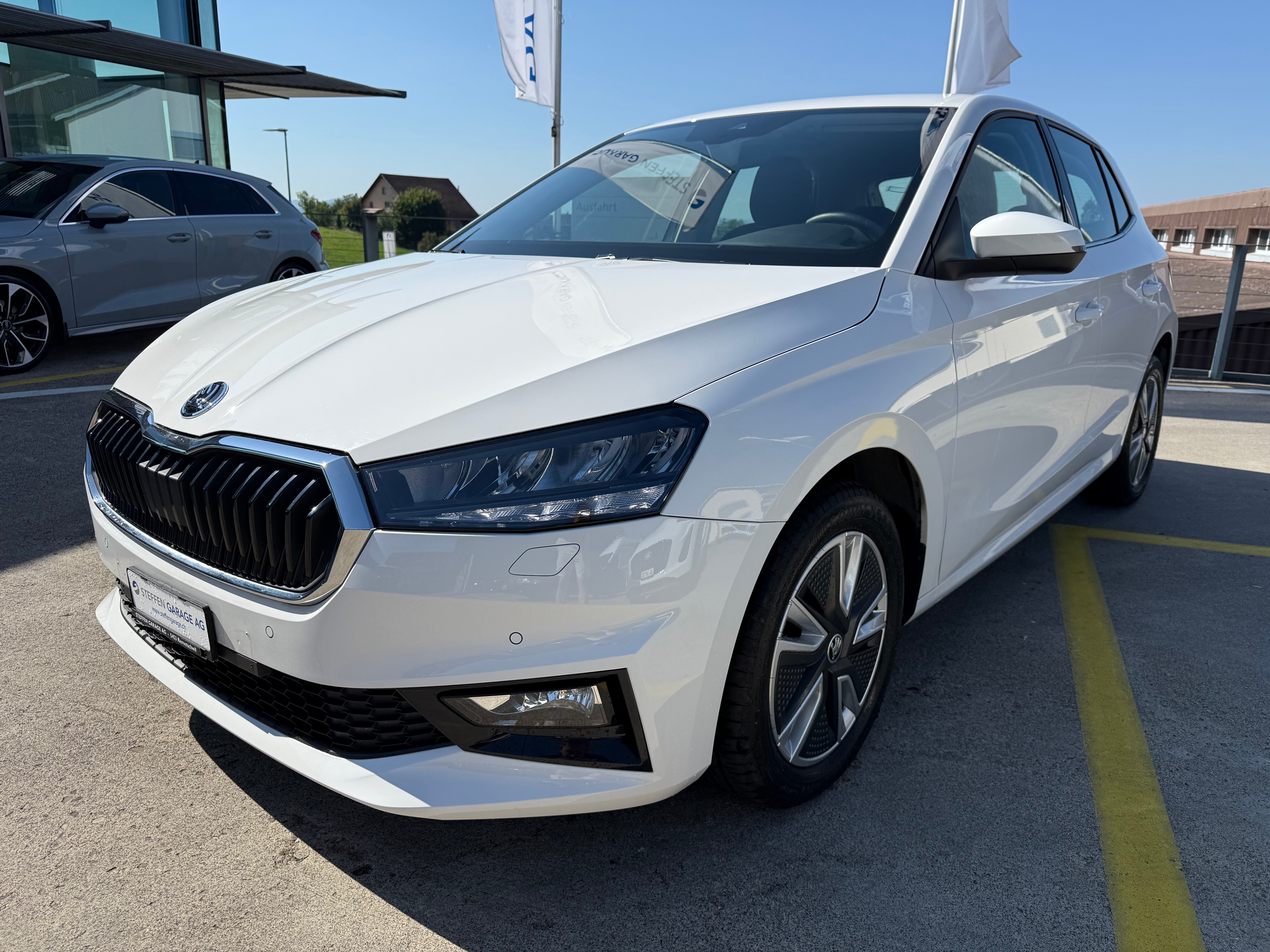 SKODA Fab. 1.0 (Kleinwagen)
