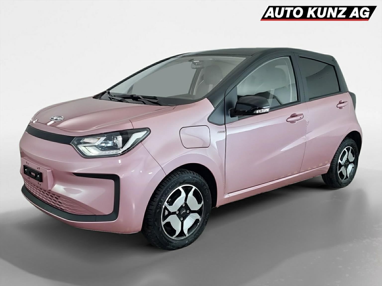 JAC E-JS1 Elektro 31kWh 330km Reichweite
