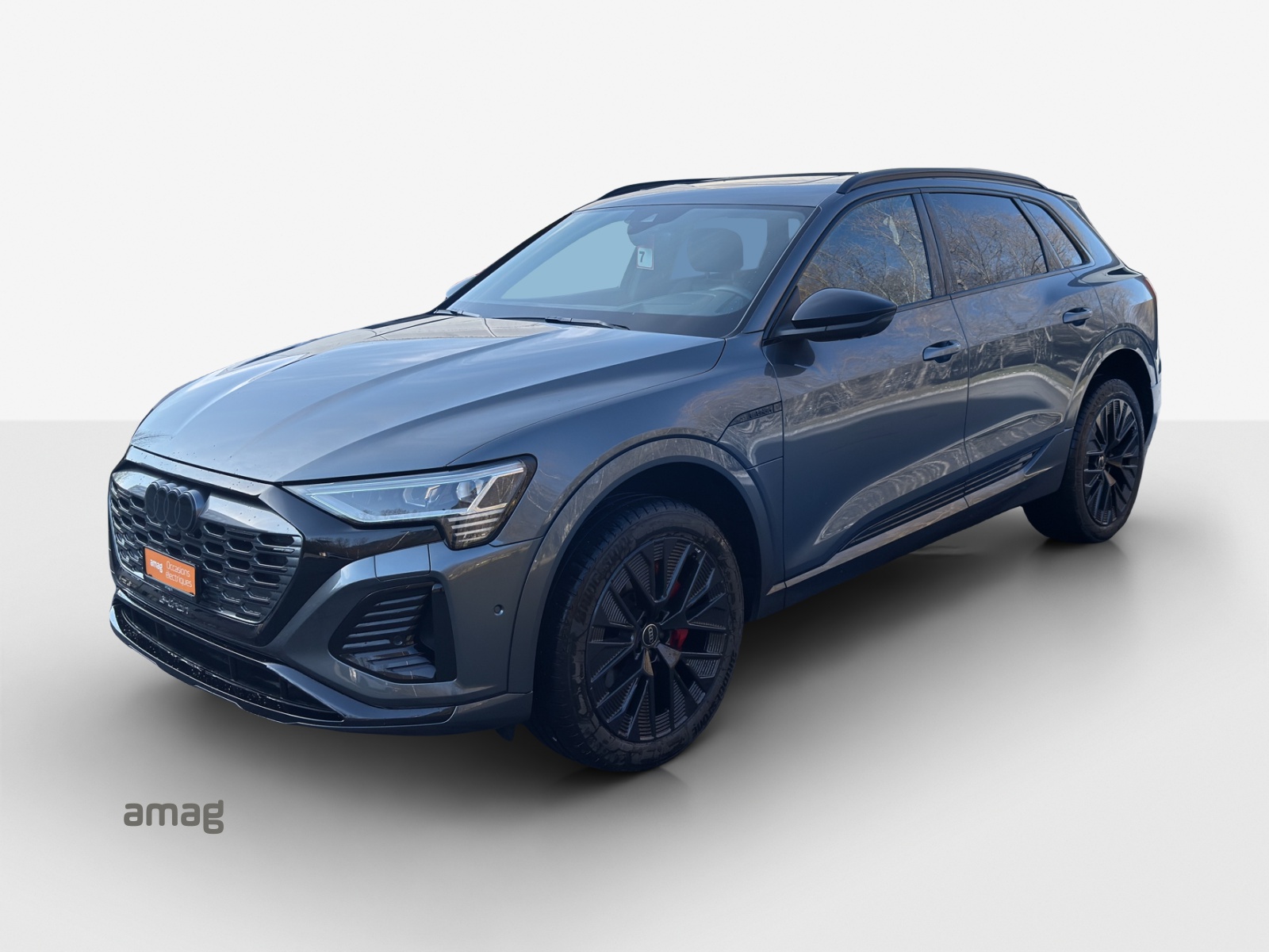 AUDI Q8 50 e-tron Black Edition quattro