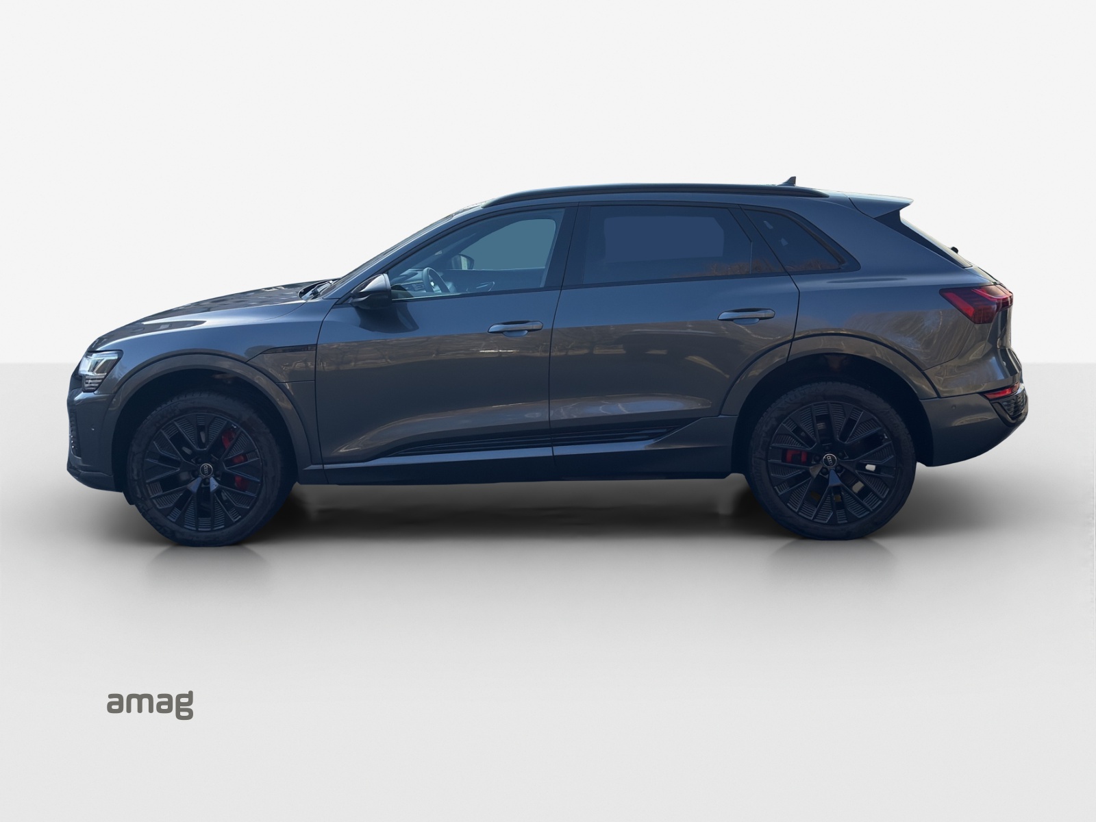 AUDI Q8 50 e-tron Black Edition quattro-showroom-element-1