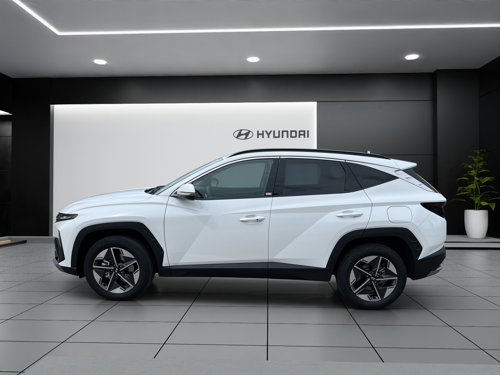 Image HYUNDAI TUCSON Tucson 1.6 TGDI HEV Amplia 4WD
