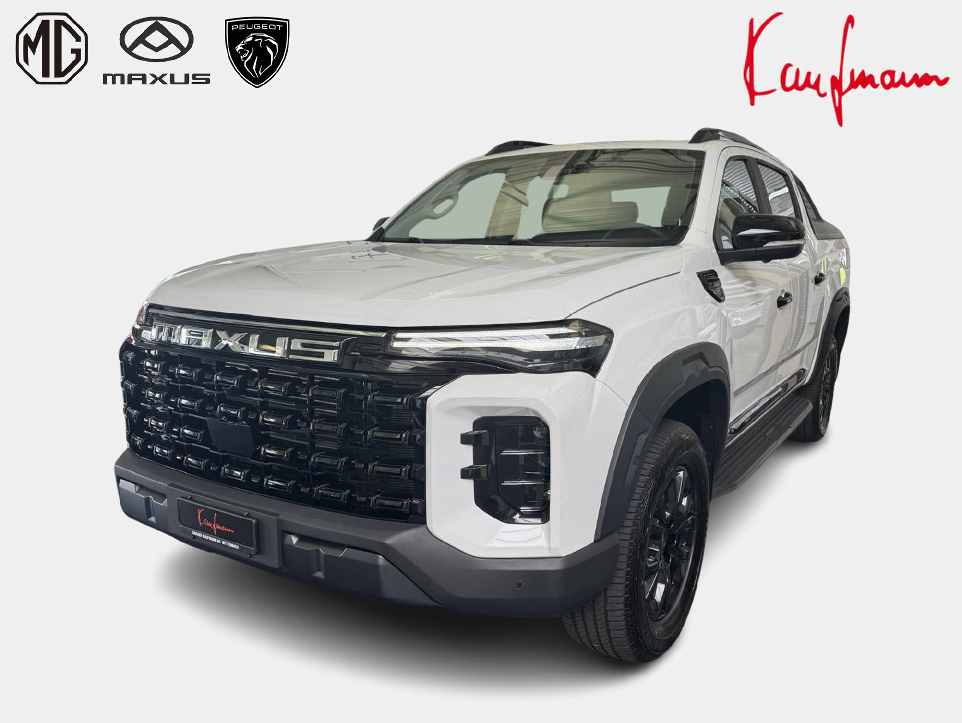 MAXUS T60-showroom-element-1