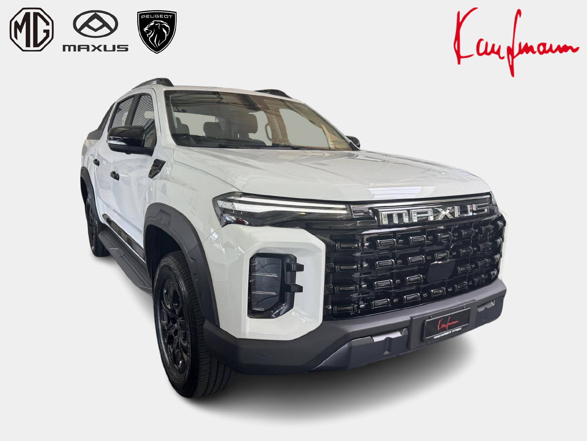 MAXUS T60