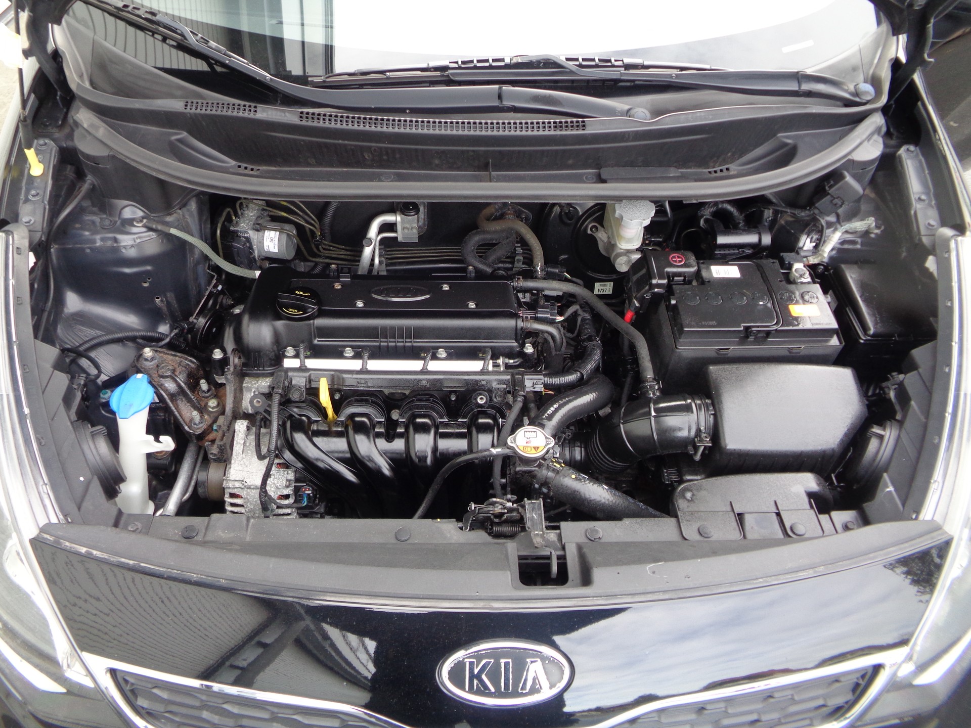 KIA Rio 1.4 CVVT Trend-image-15
