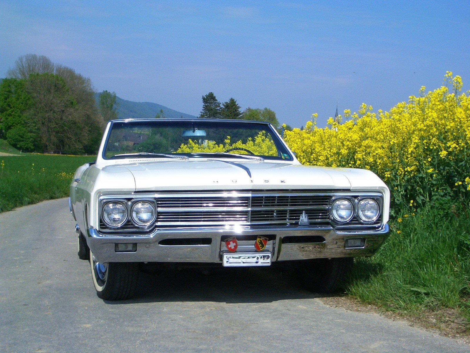 BUICK SKYLARK