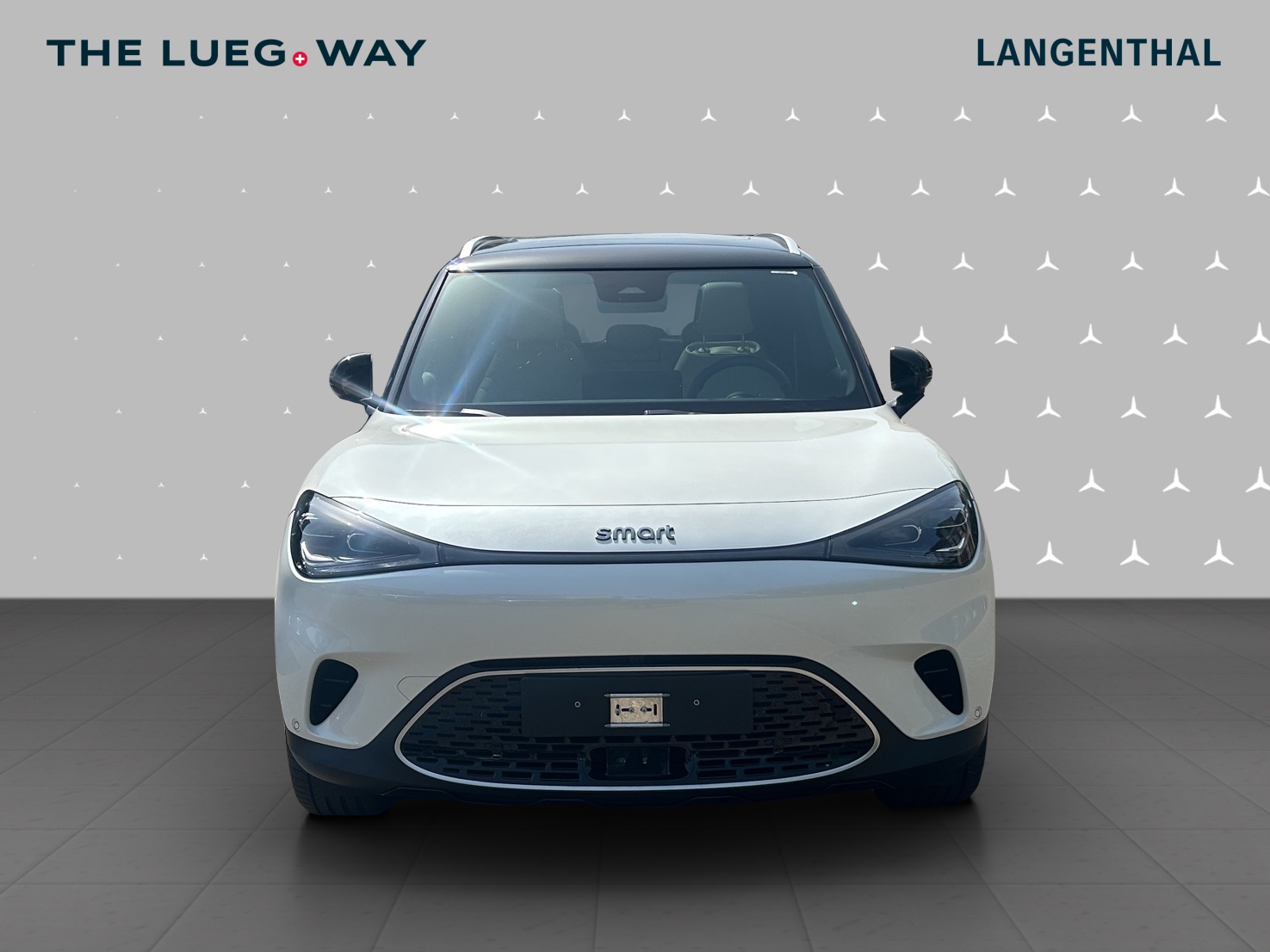 SMART #1 66kWh Premium-showroom-element-2