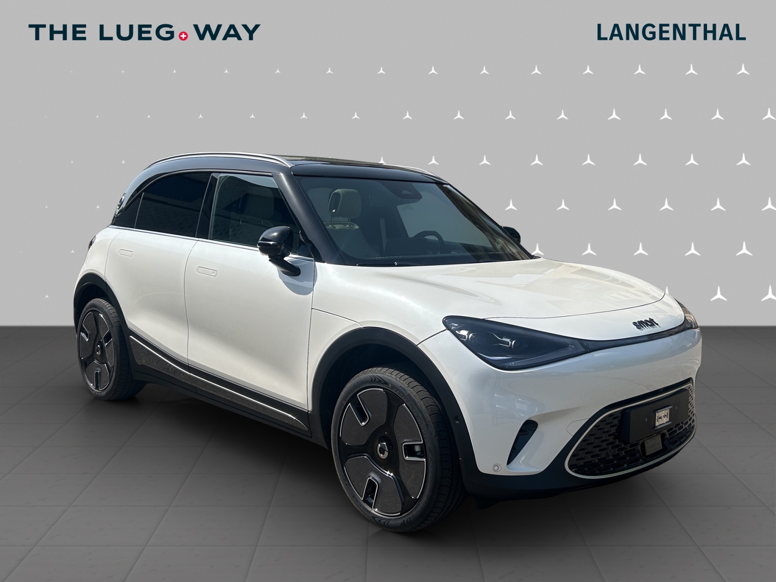 SMART #1 66kWh Premium-showroom-element-1