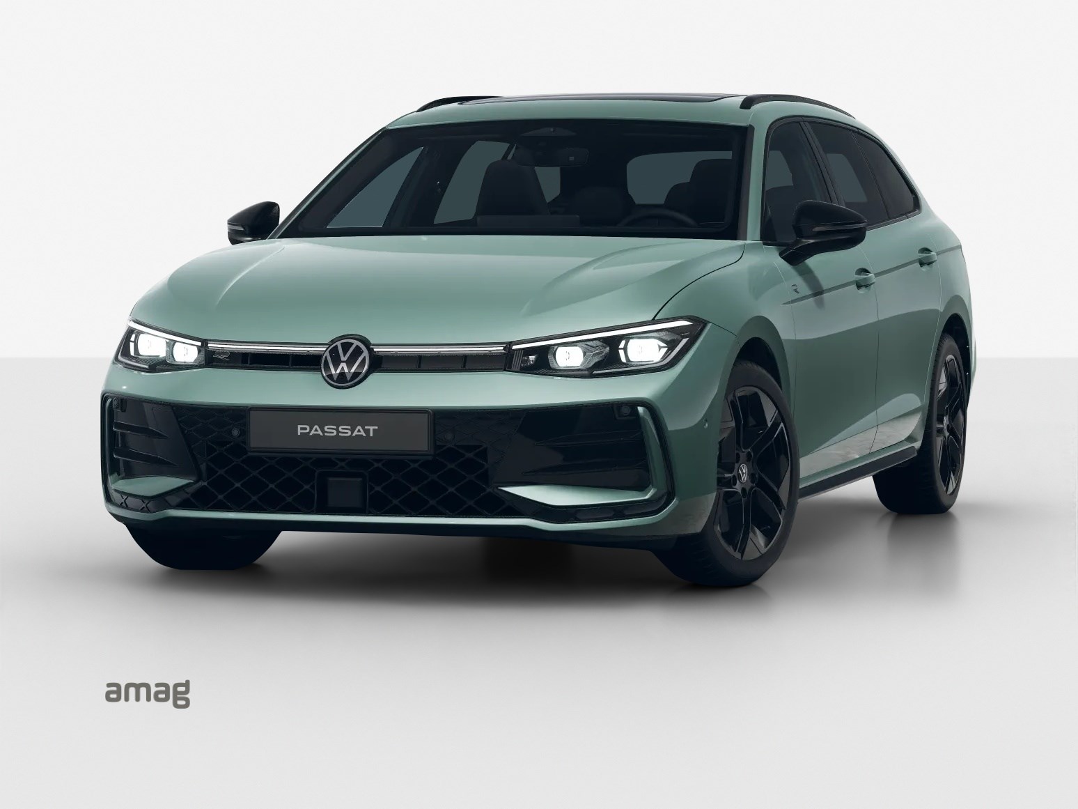 VW Passat Variant 2.0 TDI evo R-Line 4 Motion DSG