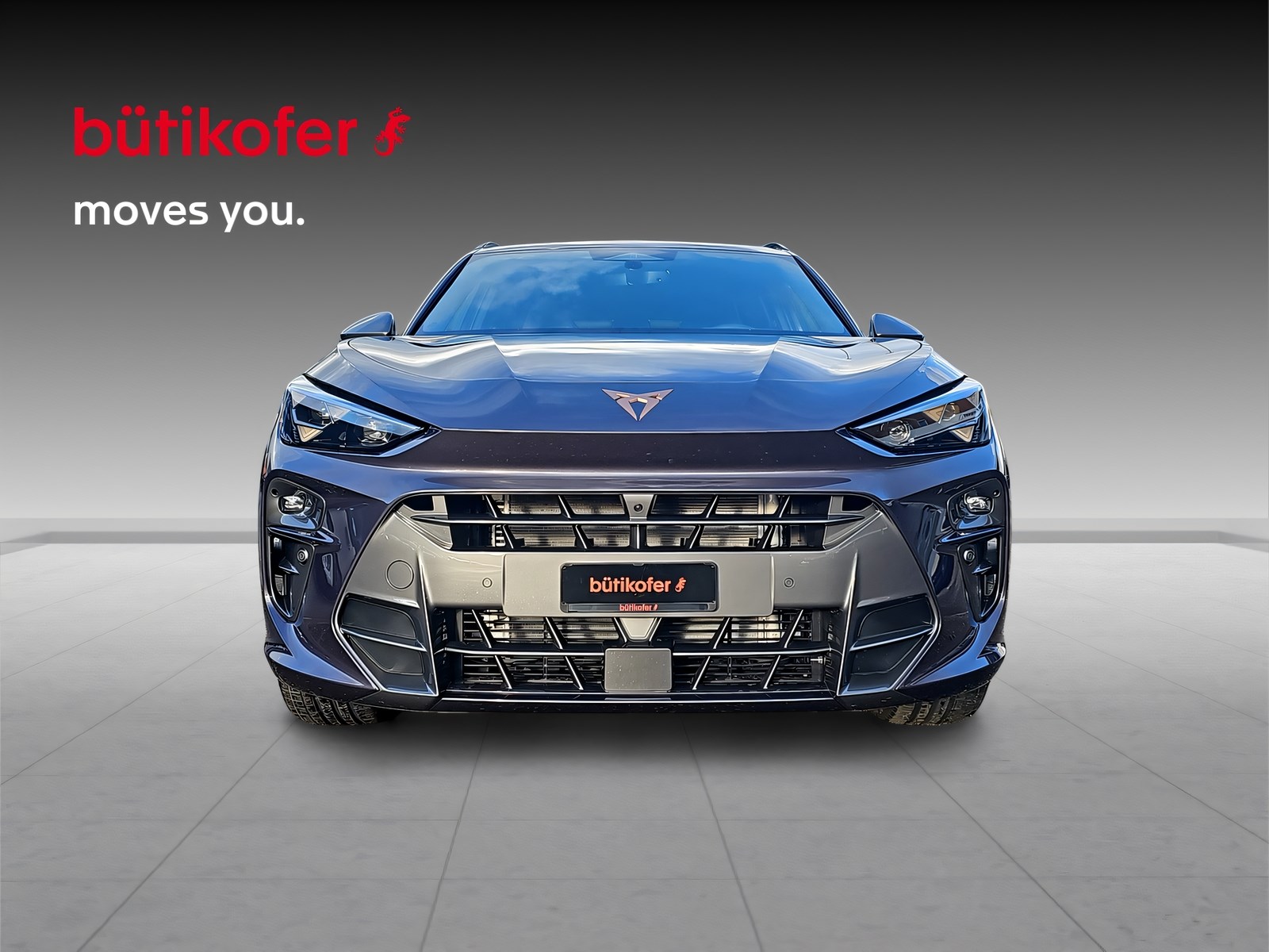 CUPRA Terramar 2.0 TSI VZ 4Drive DSG-showroom-element-1