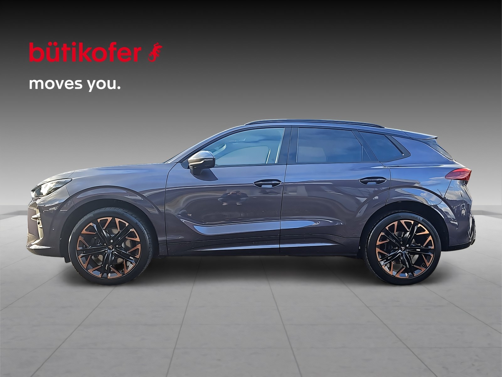 CUPRA Terramar 2.0 TSI VZ 4Drive DSG-showroom-element-2