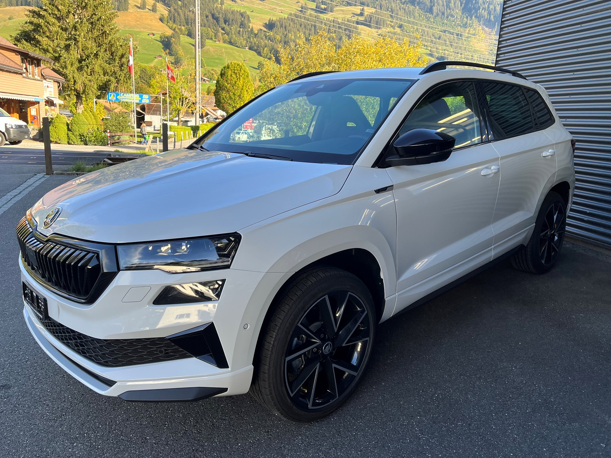 SKODA Karoq 2.0 (SUV / Geländewagen) Skoda SKODA Karoq 2.0 (SUV / Geländewagen)