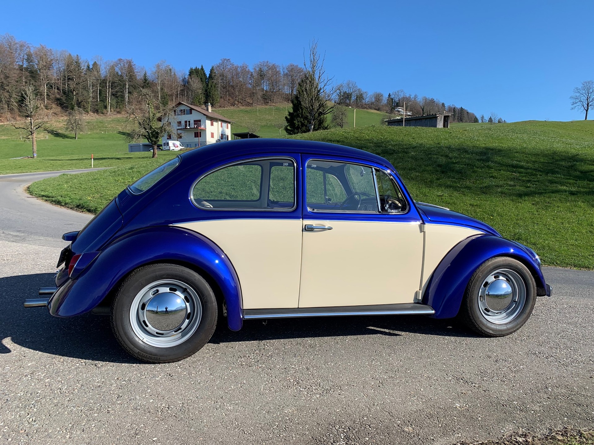 VW Käfer-image-2