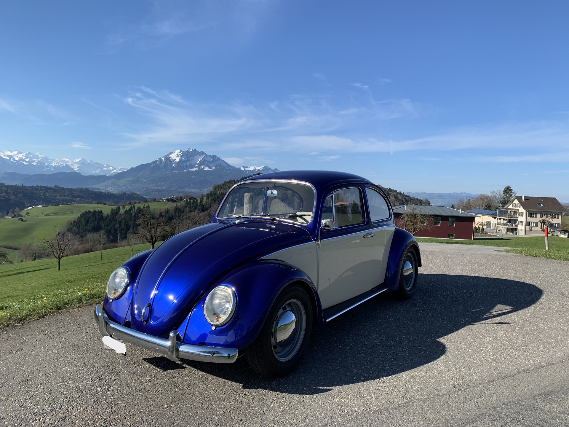 VW Käfer-image-1