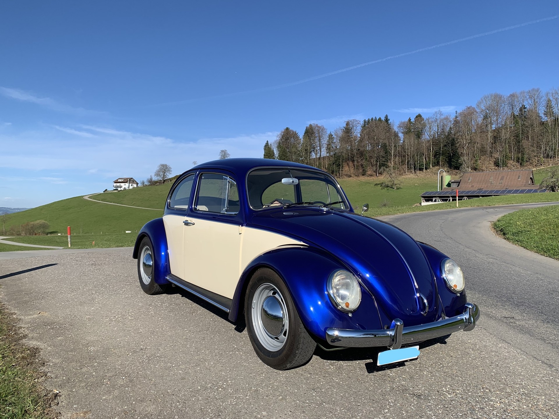 VW Käfer-image-0