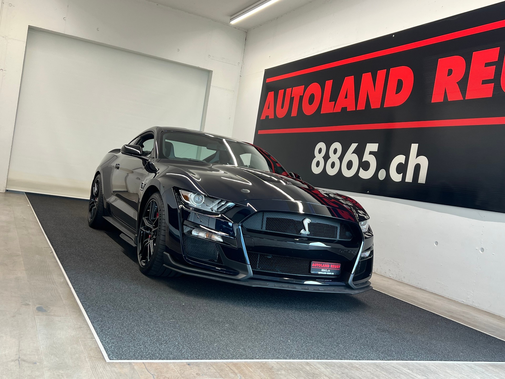 FORD Shelby GT 500