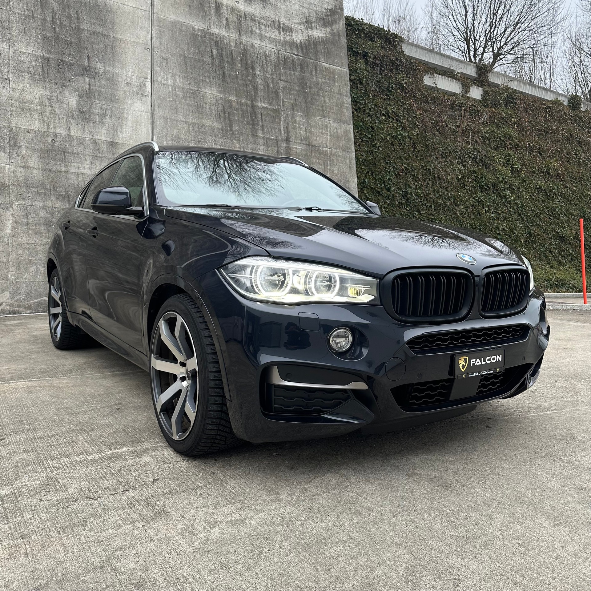 BMW X6 M50d Steptronic-showroom-element-1
