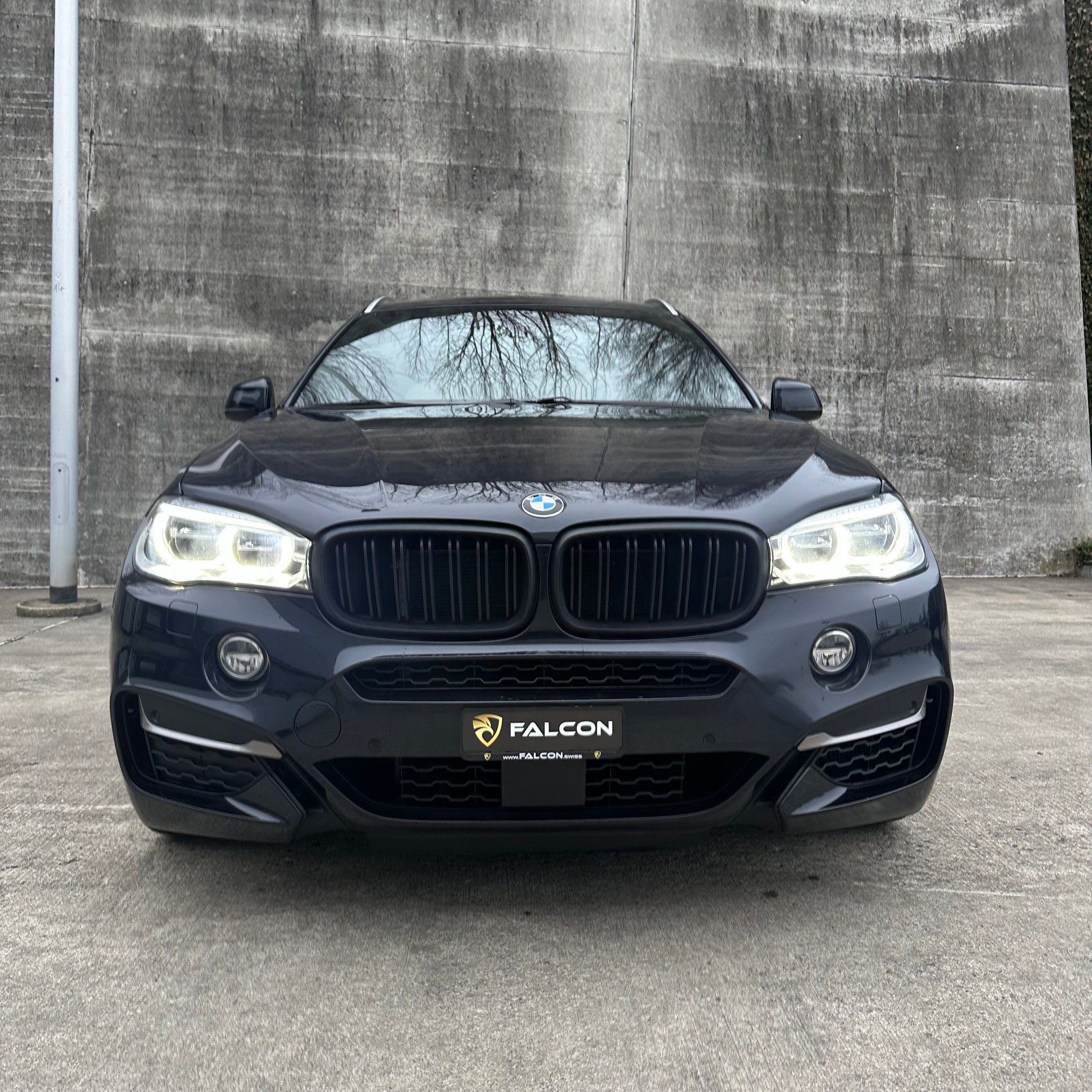 BMW X6 M50d Steptronic-showroom-element-2