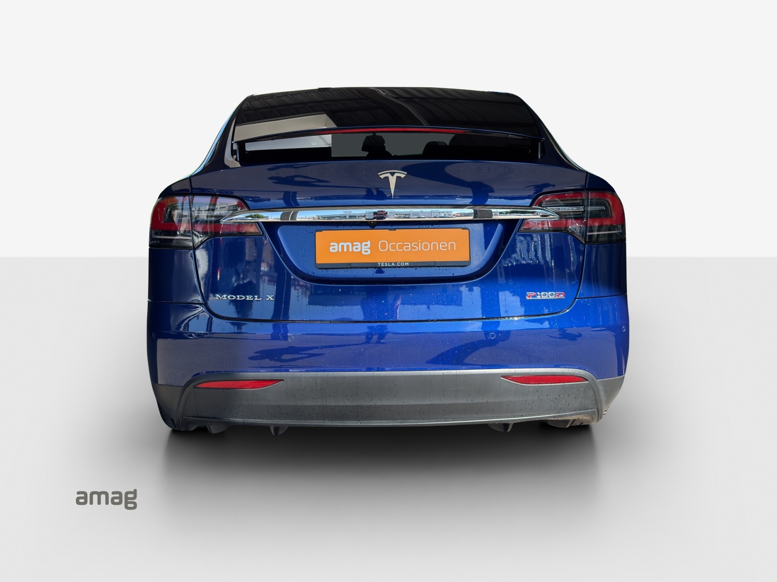 TESLA Model X 100 D Performance-showroom-element-3