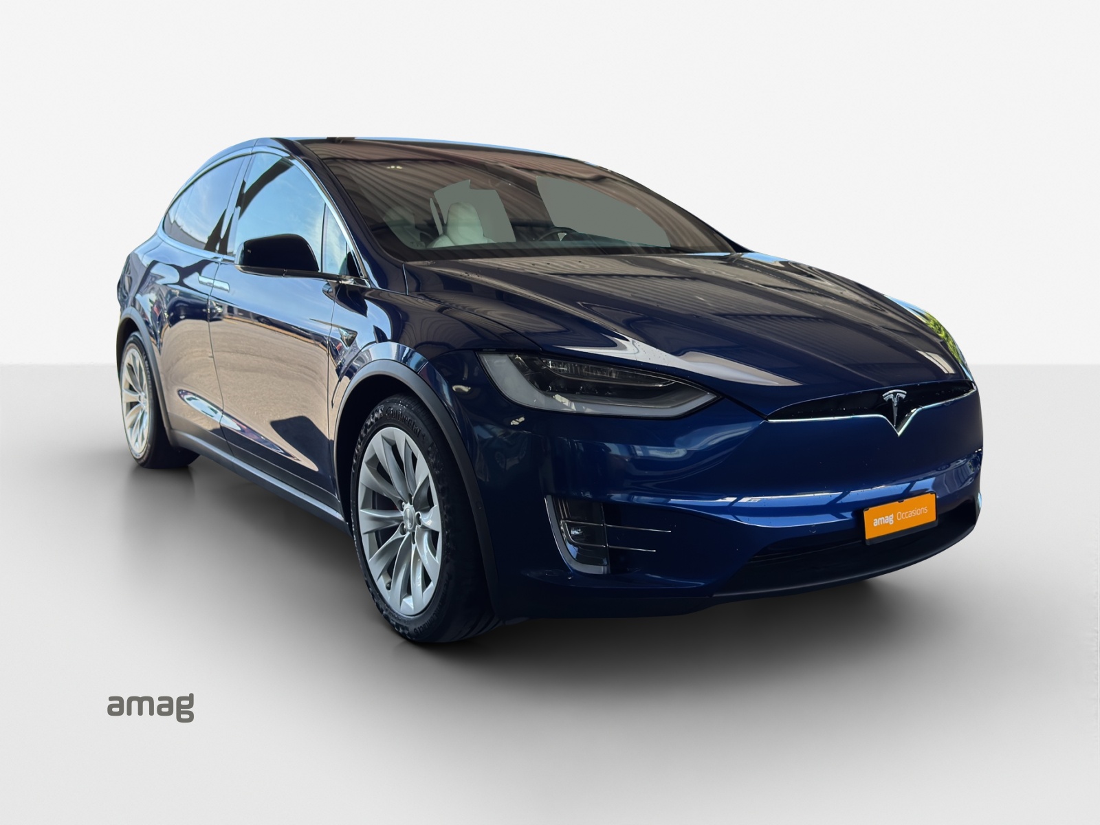 TESLA Model X 100 D Performance-image-5