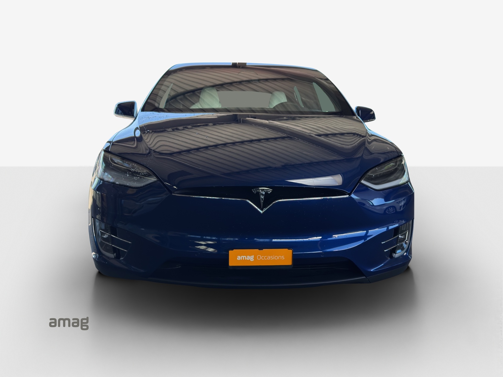 TESLA Model X 100 D Performance-image-6