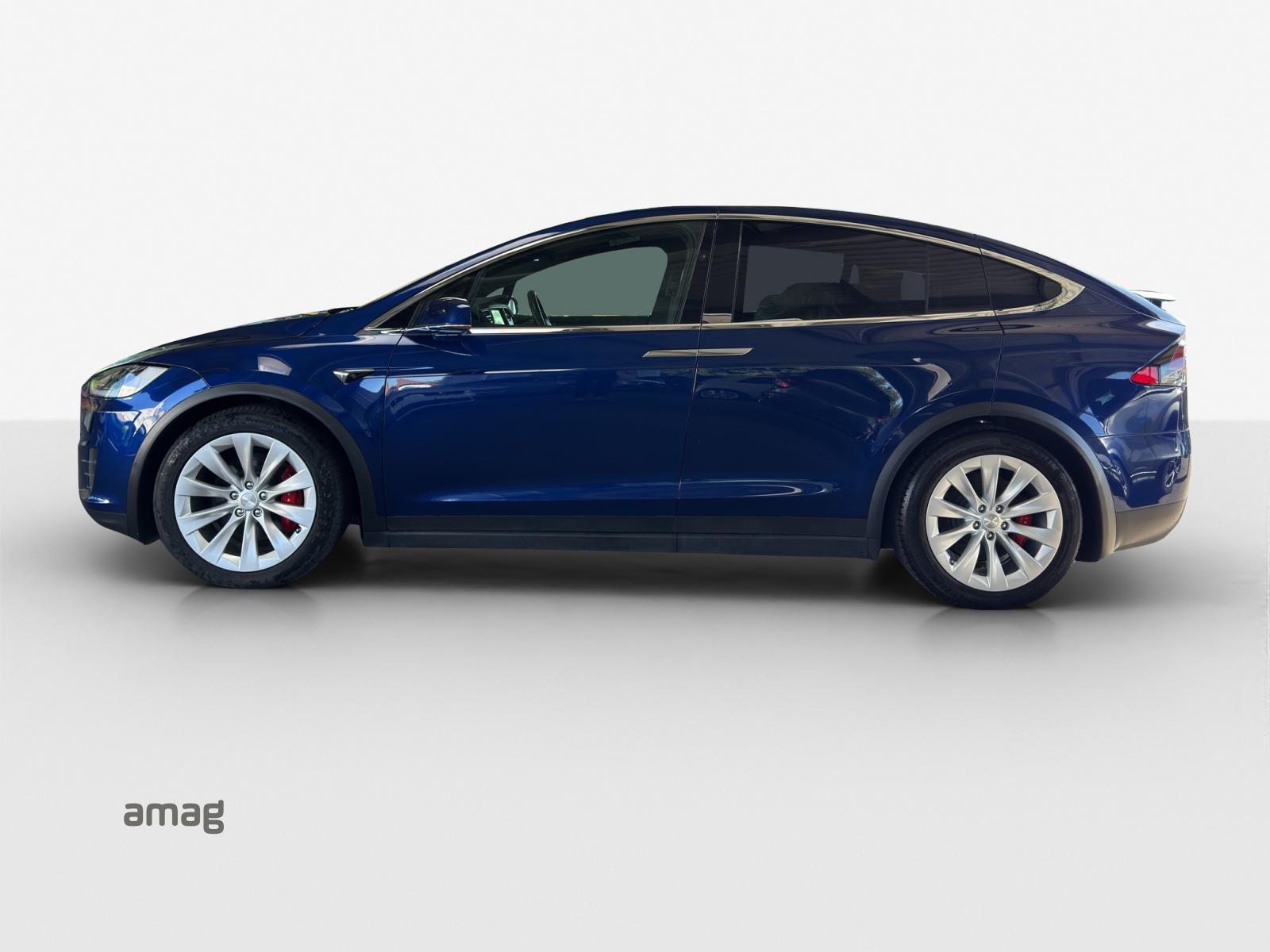 TESLA Model X 100 D Performance-showroom-element-1