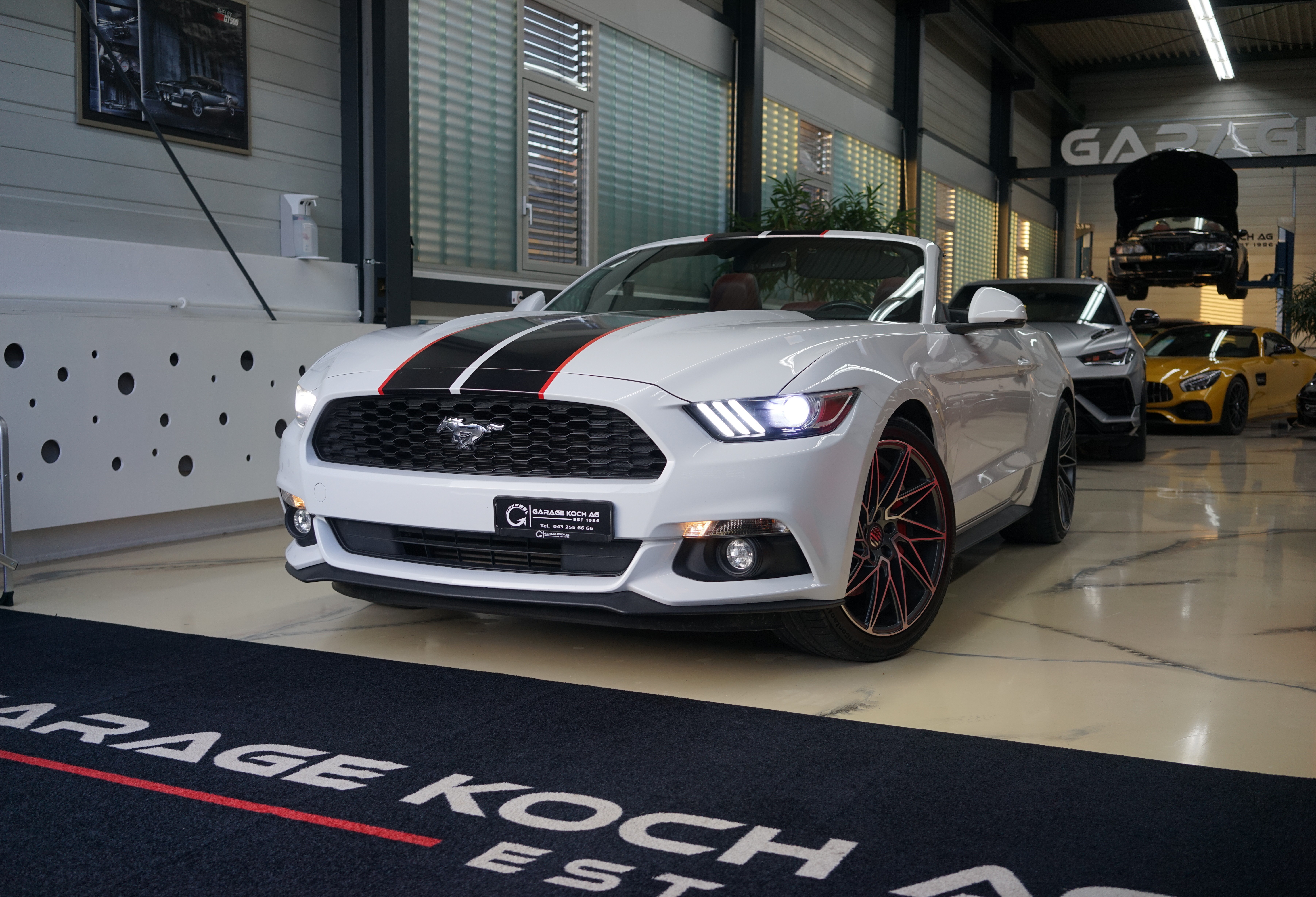 FORD Mustang Convertible 2.3 (Cabriolet)