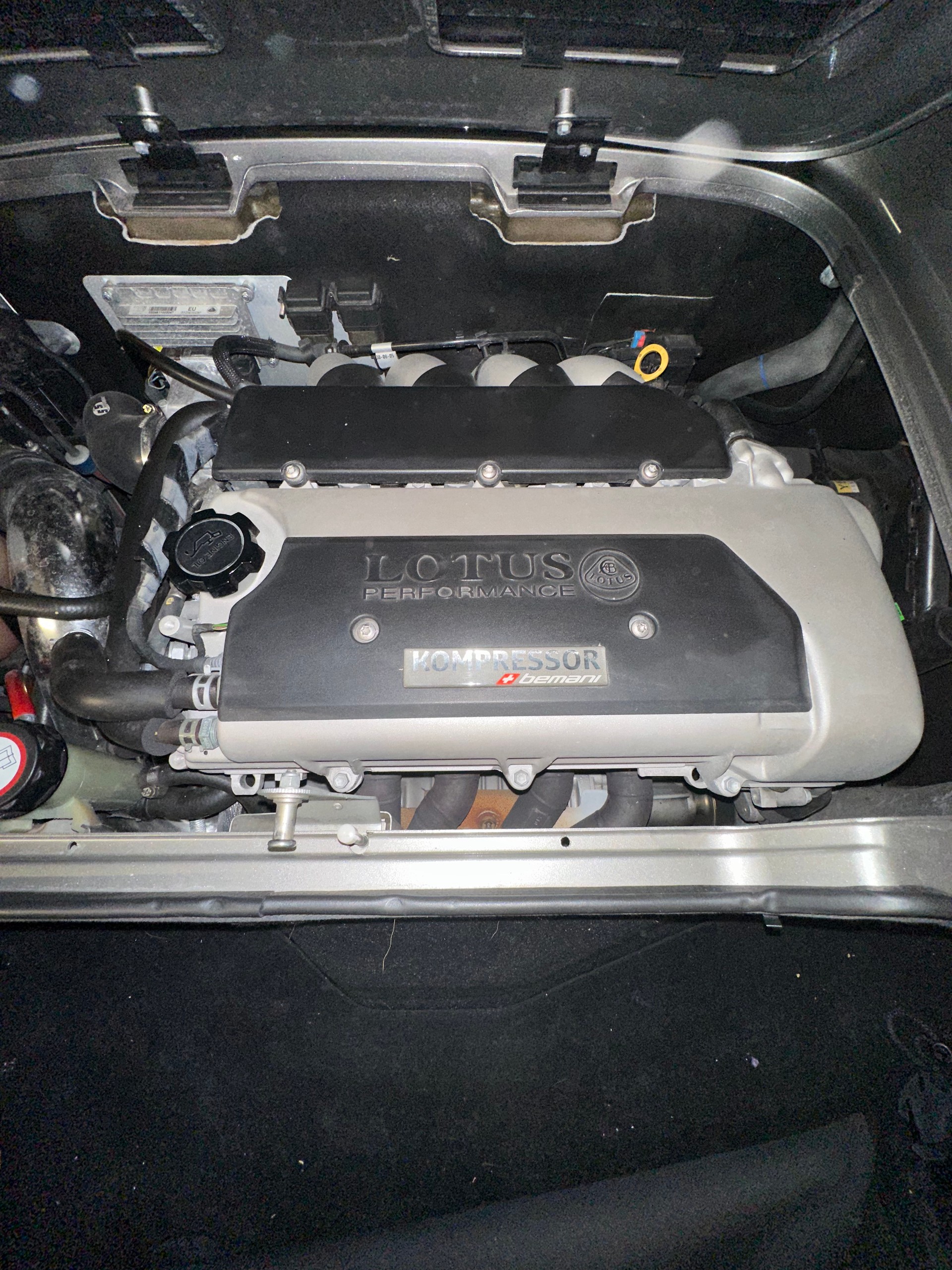 LOTUS R Bemani Kompressor 262 PS-image-10