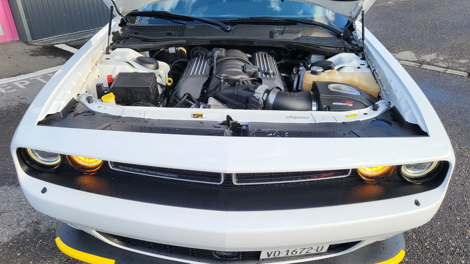 DODGE Challenger 6.4 RT-image-5