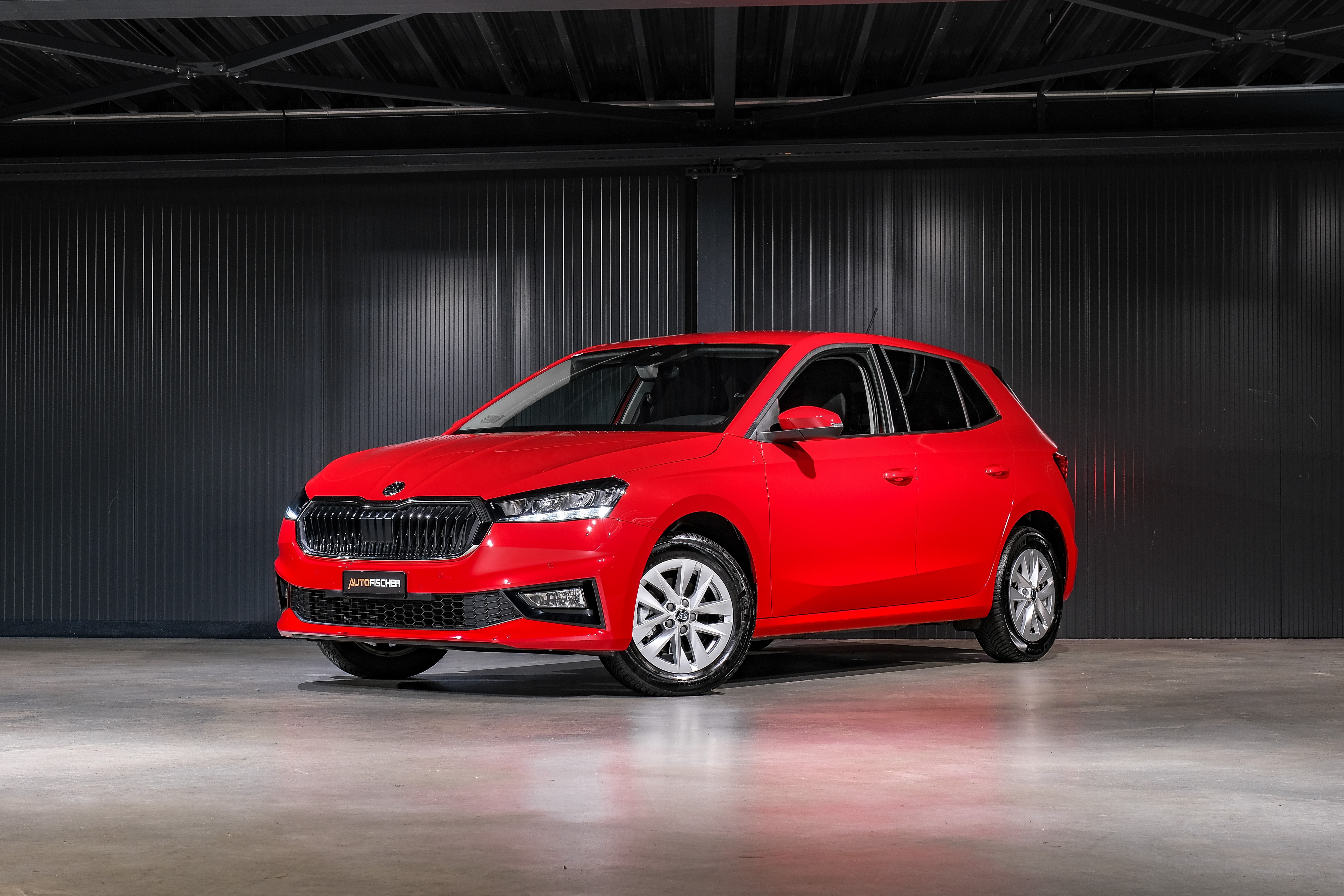 SKODA Fabia 1.0 (Kleinwagen)