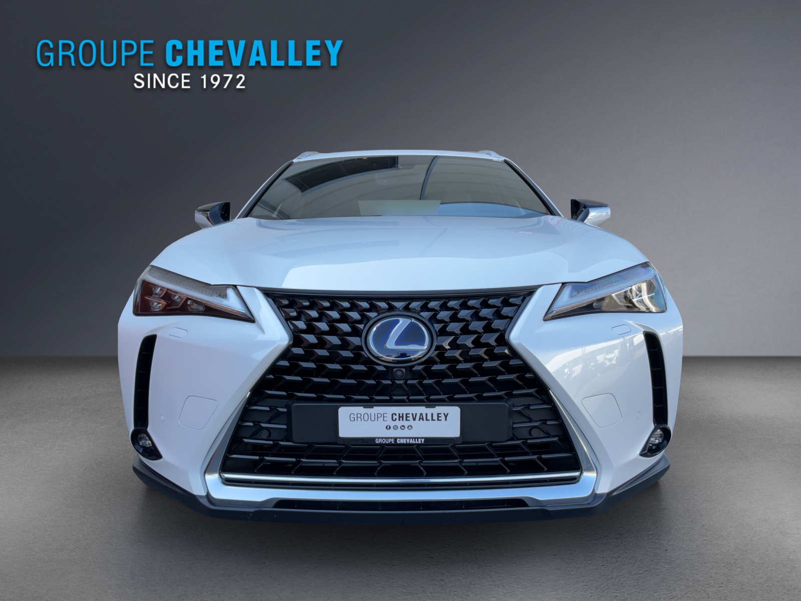 LEXUS 300 E-showroom-element-1
