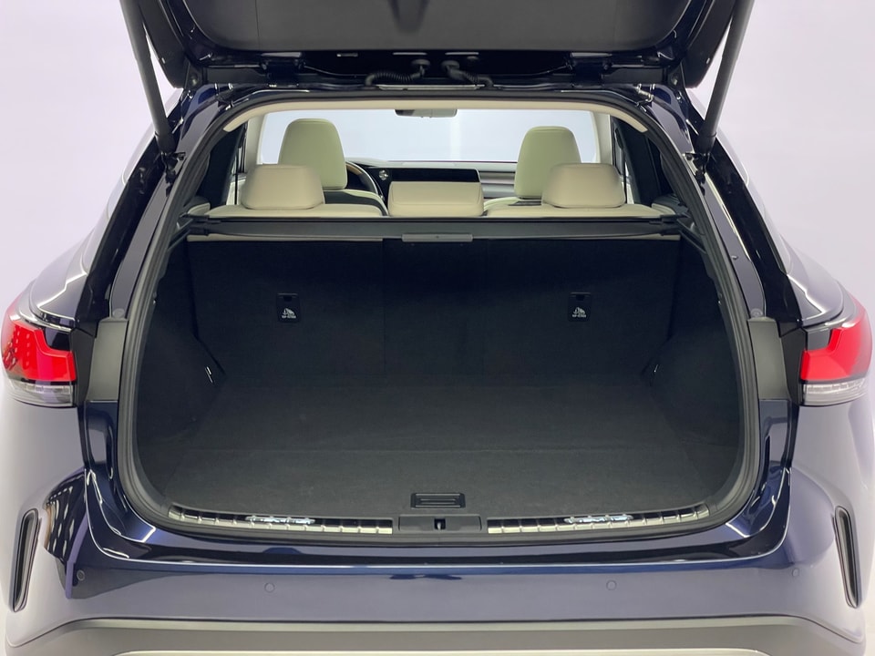 RX 450h+ Excellence E-FOUR Plug-in-Hybrid