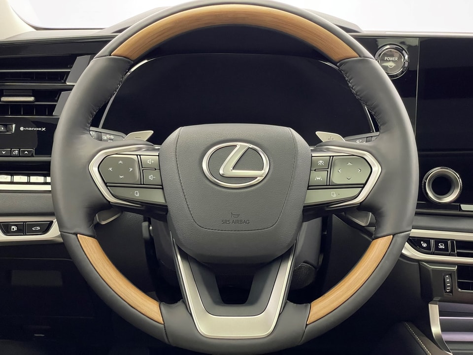 RX 450h+ Excellence E-FOUR Plug-in-Hybrid