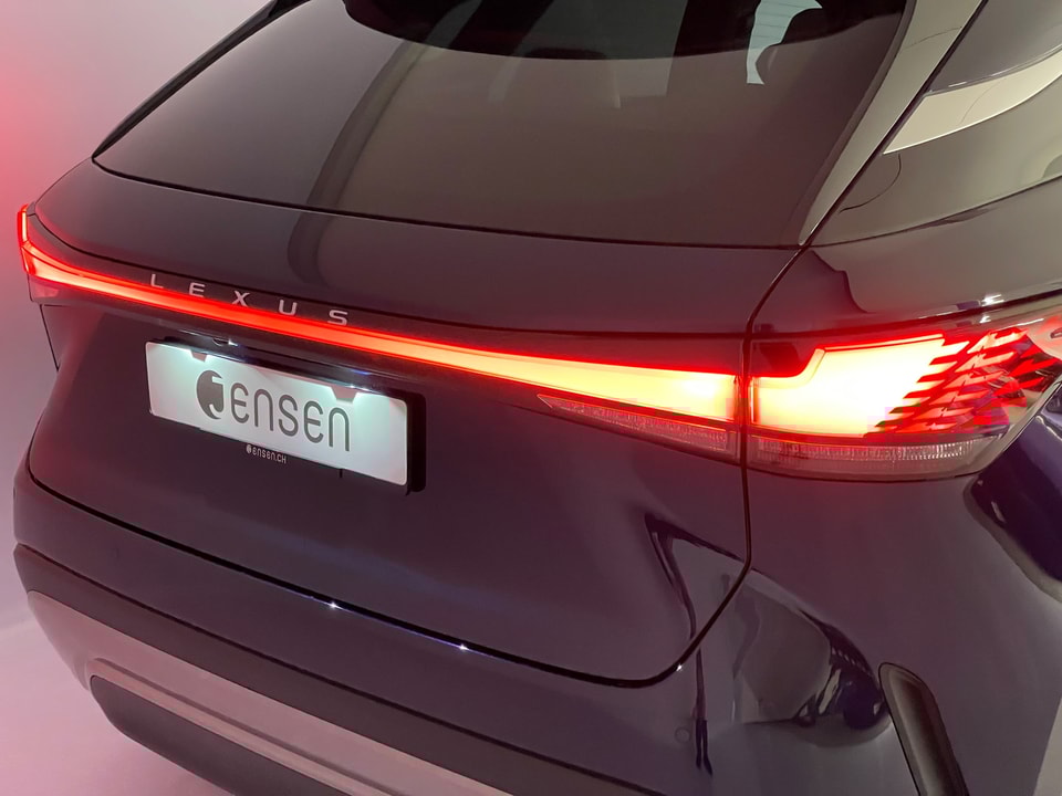 RX 450h+ Excellence E-FOUR Plug-in-Hybrid