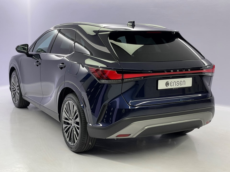 RX 450h+ Excellence E-FOUR Plug-in-Hybrid