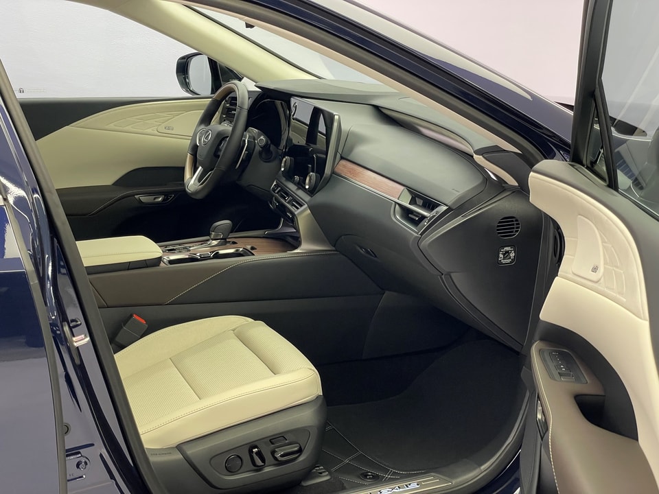 RX 450h+ Excellence E-FOUR Plug-in-Hybrid