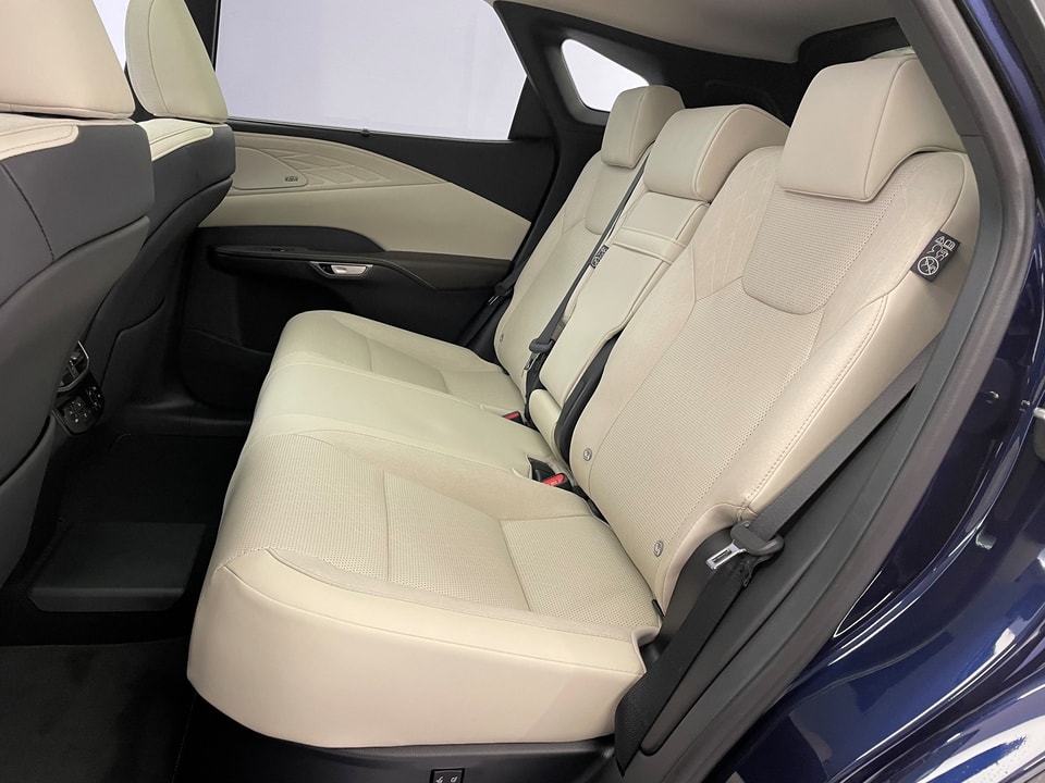 RX 450h+ Excellence E-FOUR Plug-in-Hybrid