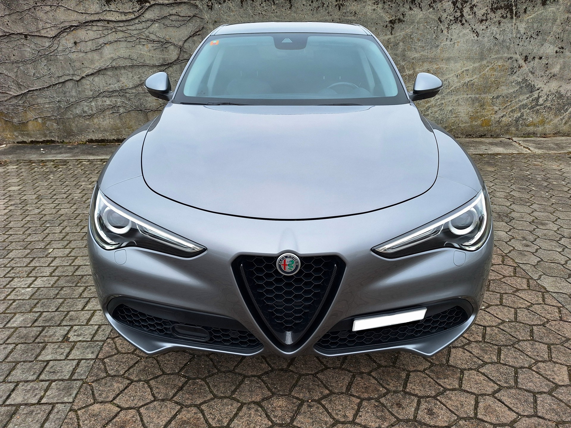 ALFA ROMEO Stelvio 2.0 First Edition Q4 Automatic