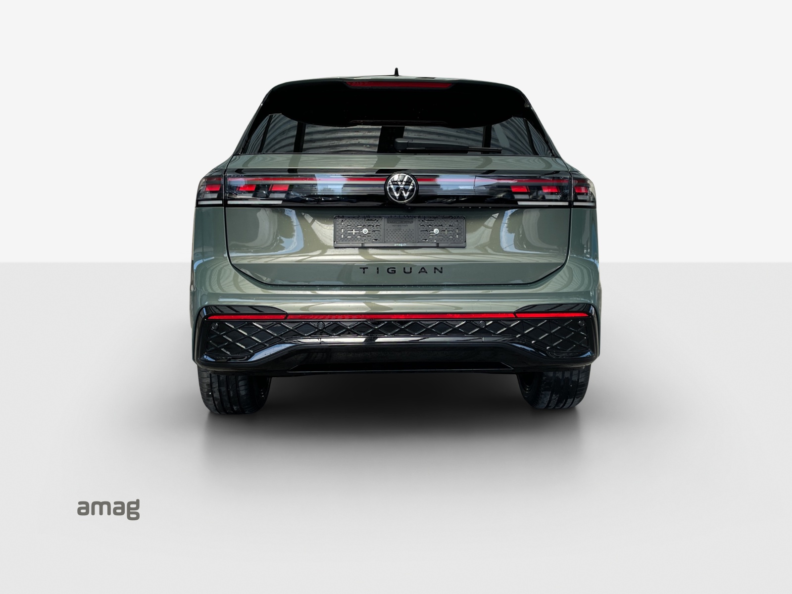VW Tiguan 2.0 TDI SCR R-Line 4Motion DSG-showroom-element-3