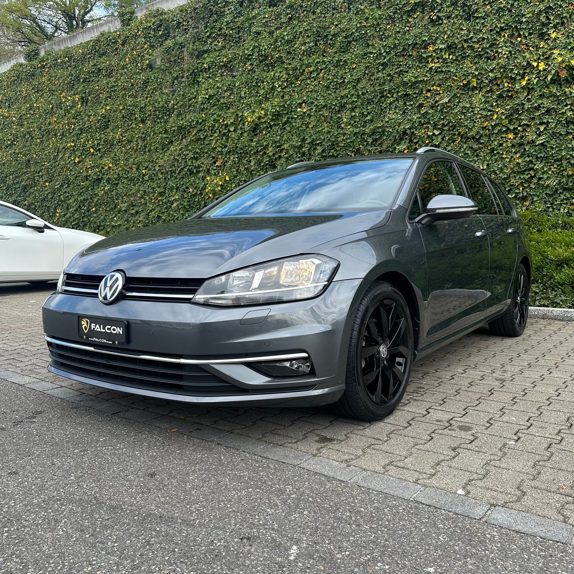 VW Golf Variant 1.5 TSI EVO Highline DSG-showroom-element-2