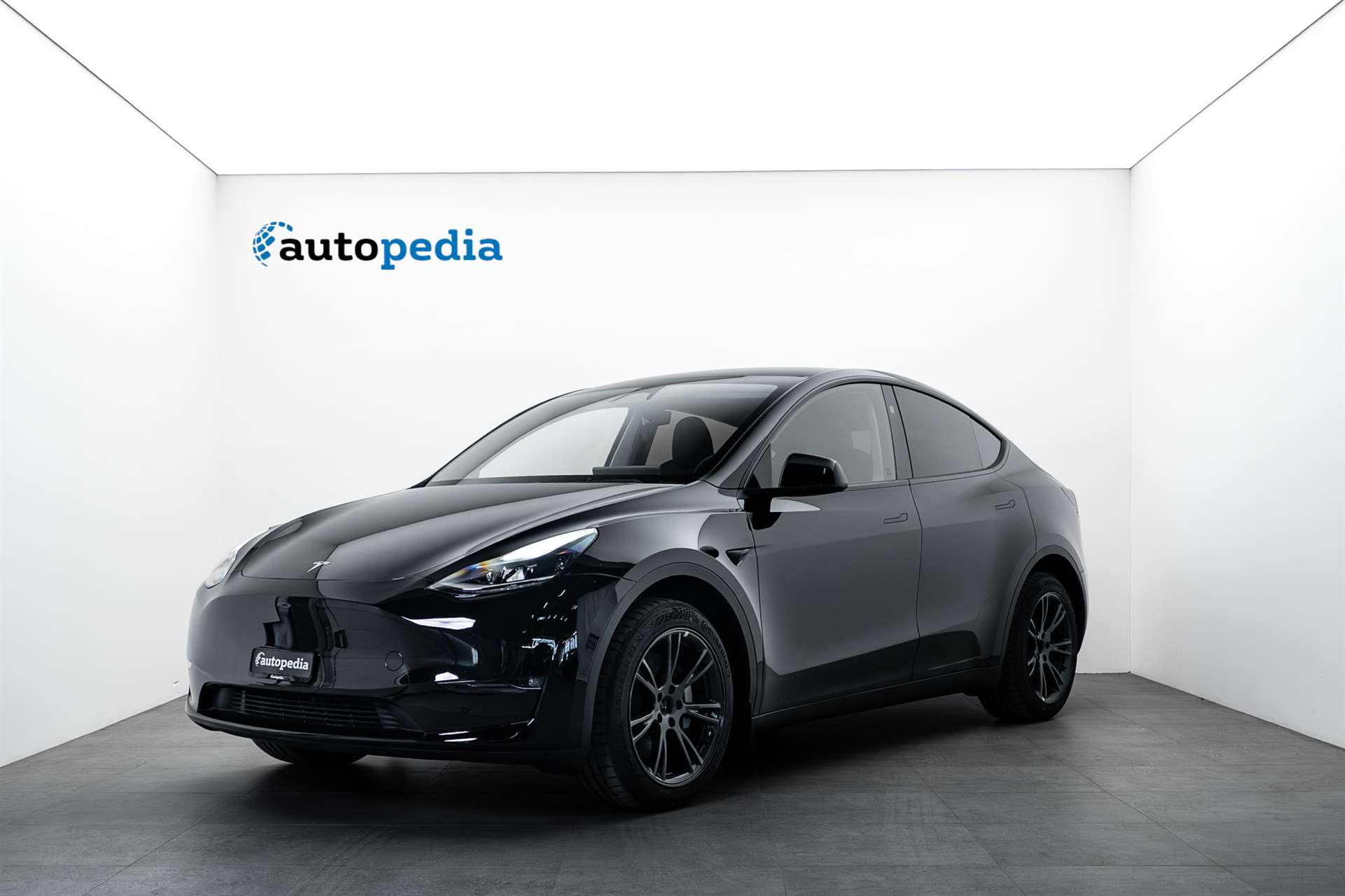TESLA Model Y Long Range AWD 514PS DualMotor