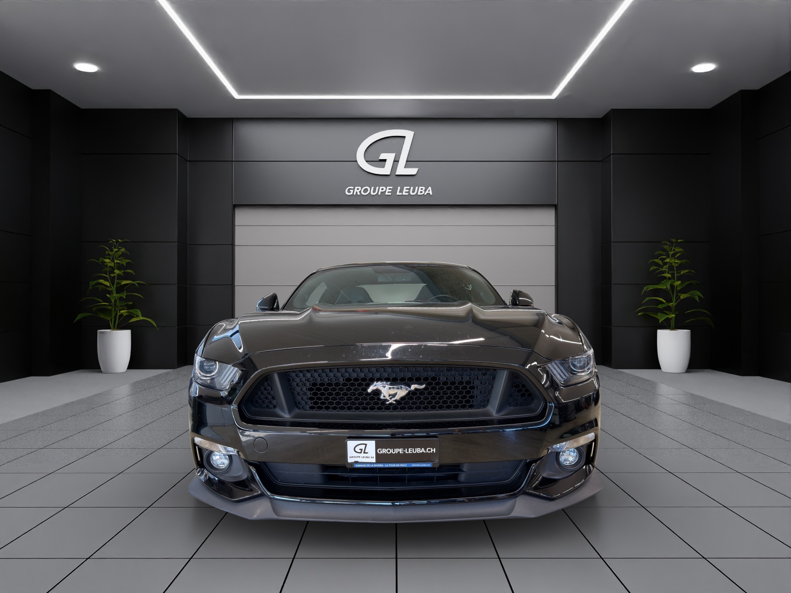 Image FORD MUSTANG Mustang FB 5.0 V8