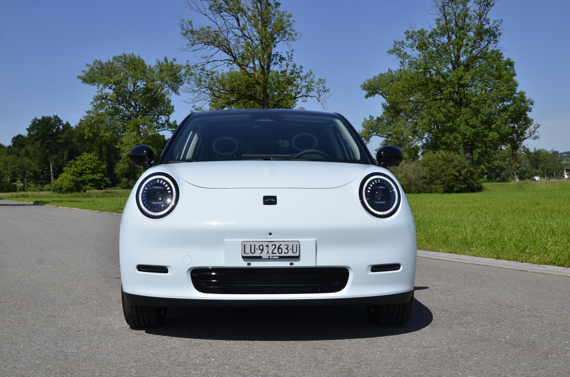 JAC E30X 51 kWh KOMMT ENDE JULI-showroom-element-1