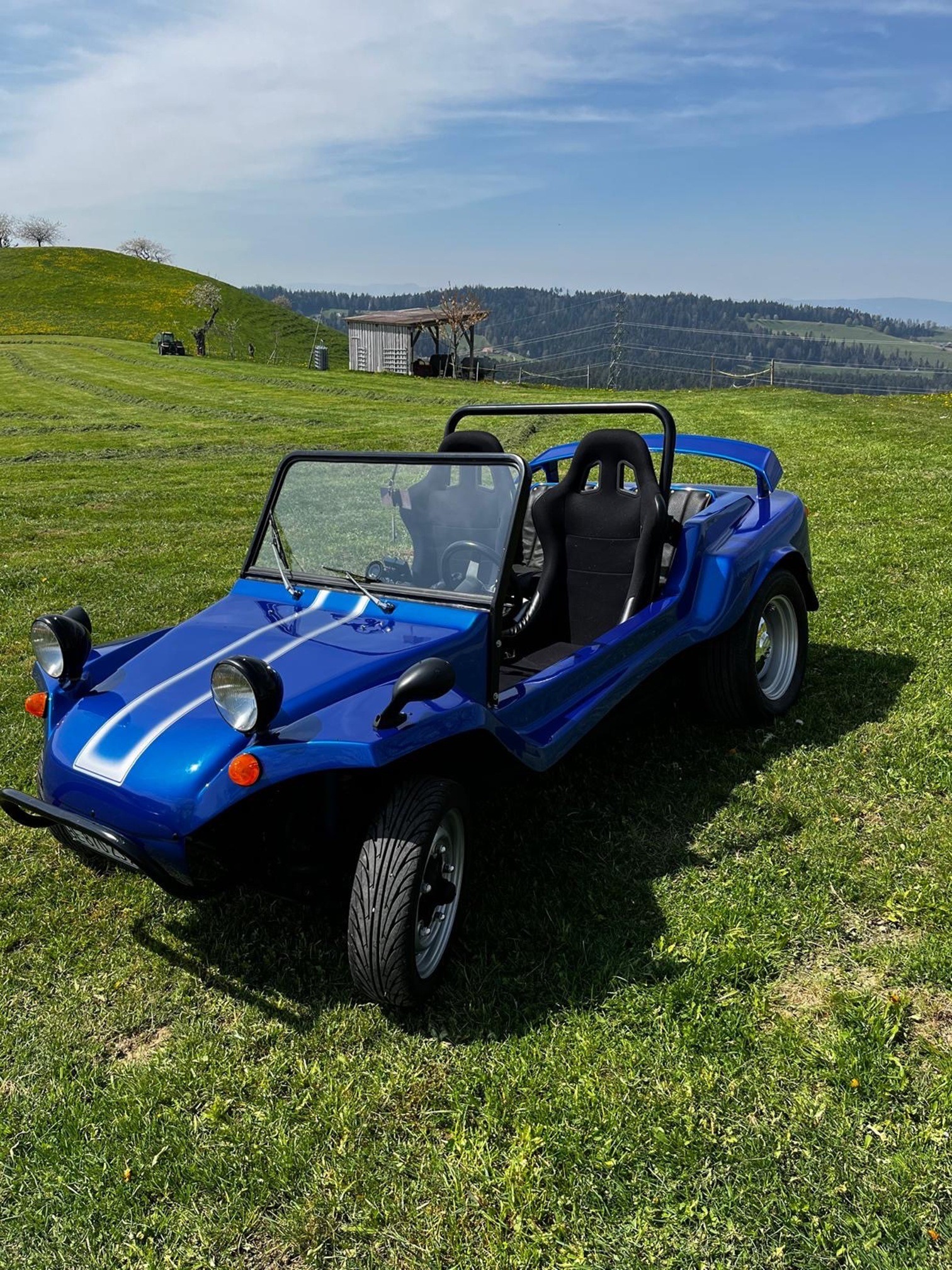 VW Swiss-Buggy