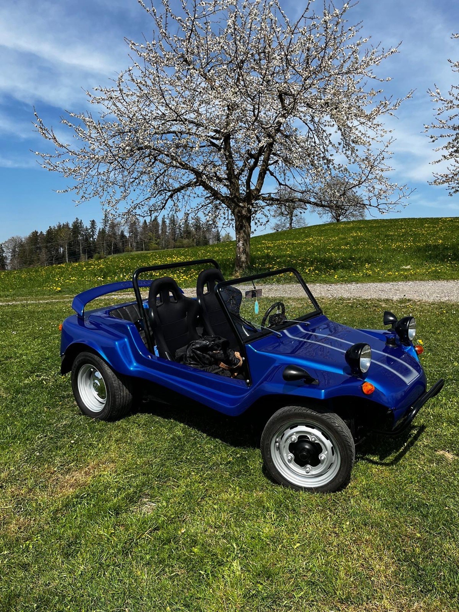 VW Swiss-Buggy-showroom-element-1