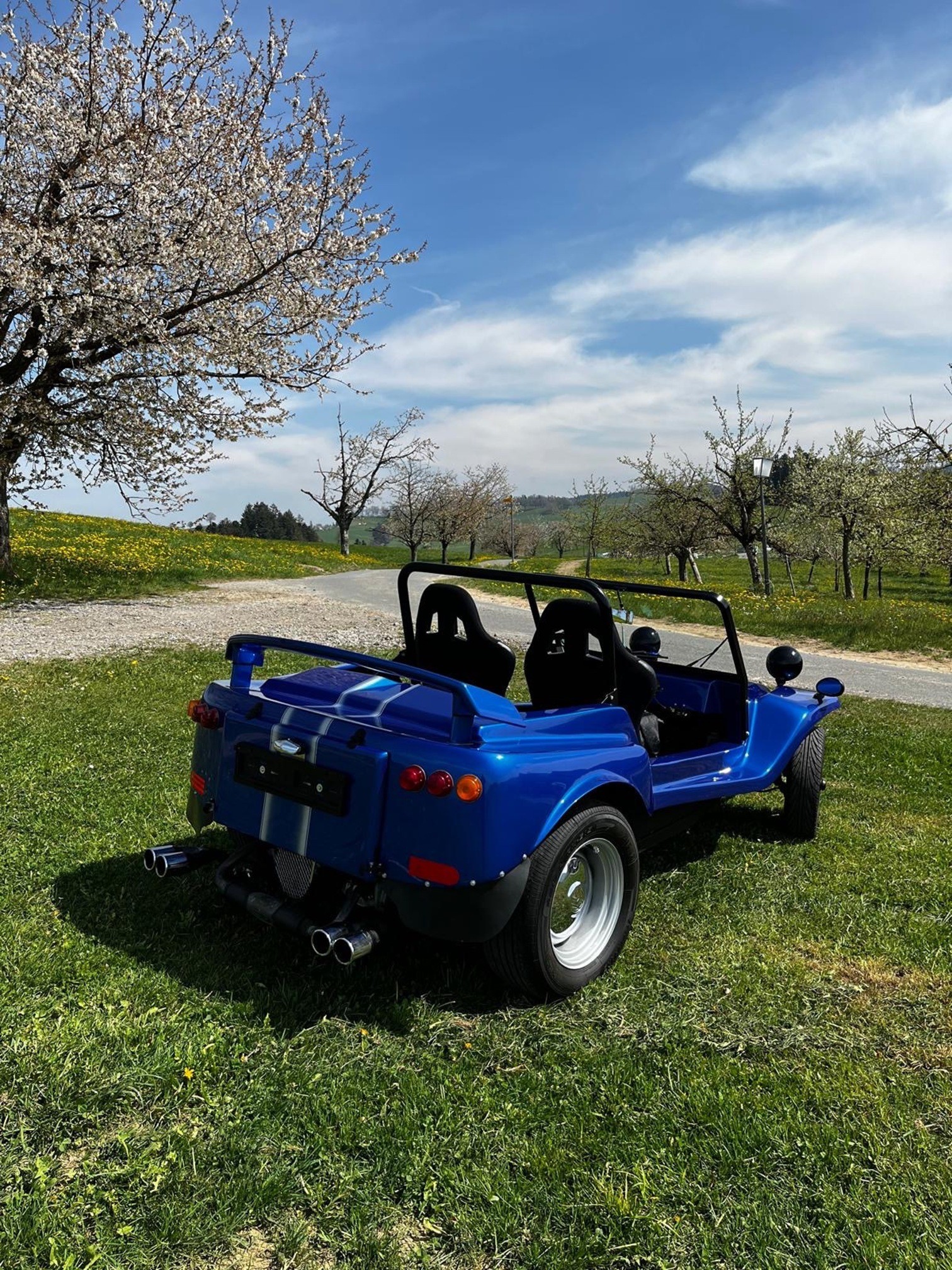 VW Swiss-Buggy-showroom-element-3