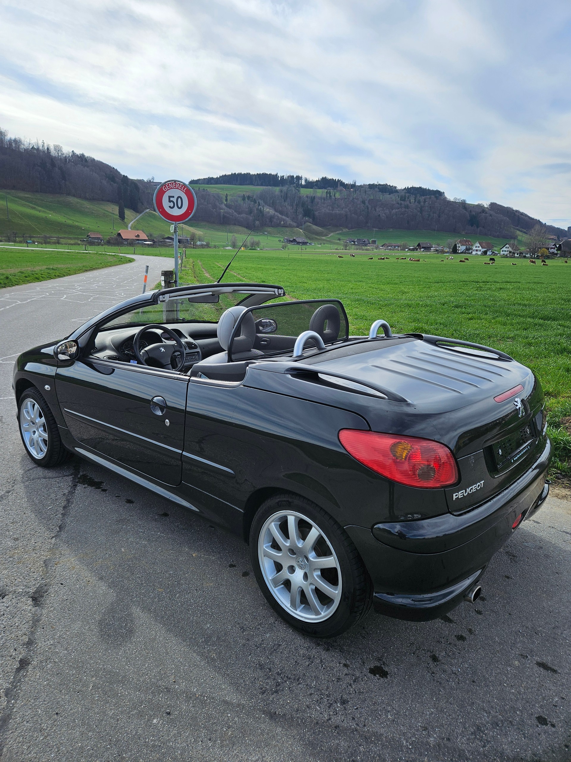 PEUGEOT 206 CC 2.0 16V Platinum-showroom-element-3