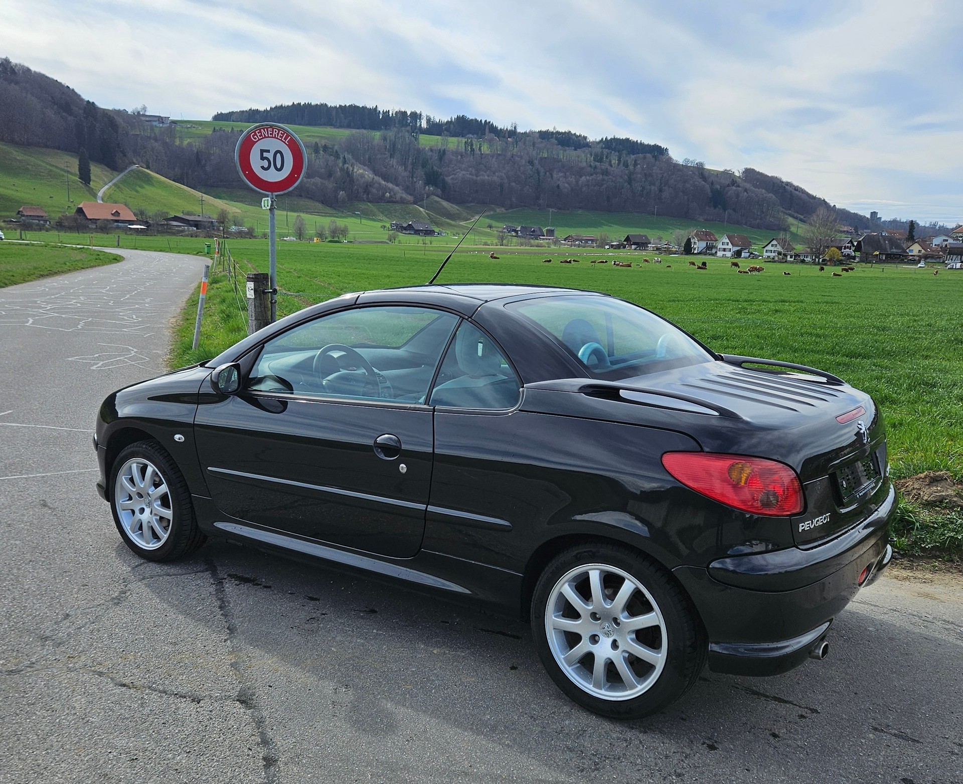PEUGEOT 206 CC 2.0 16V Platinum-showroom-element-2