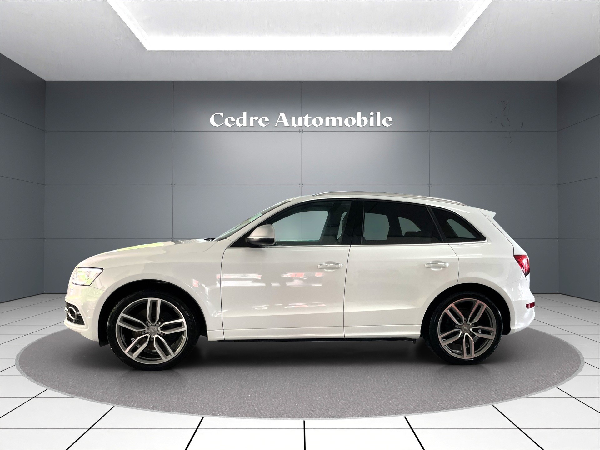 AUDI SQ5 3.0 TDI quattro tiptronic-showroom-element-2